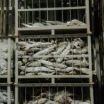 Gudang cold chain logistics menyimpan ikan beku di Batam, Indonesia