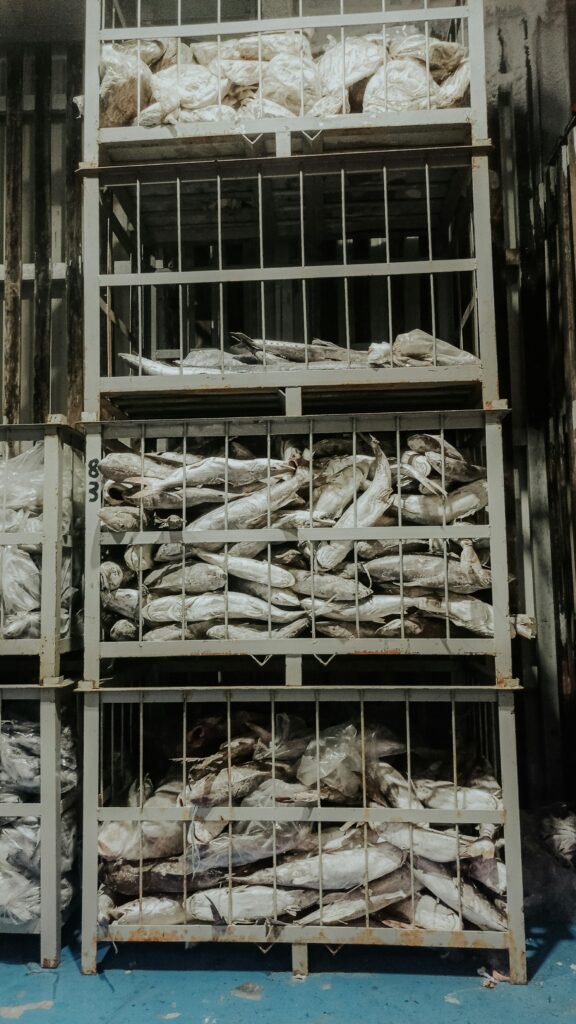 Gudang cold chain logistics menyimpan ikan beku di Batam, Indonesia