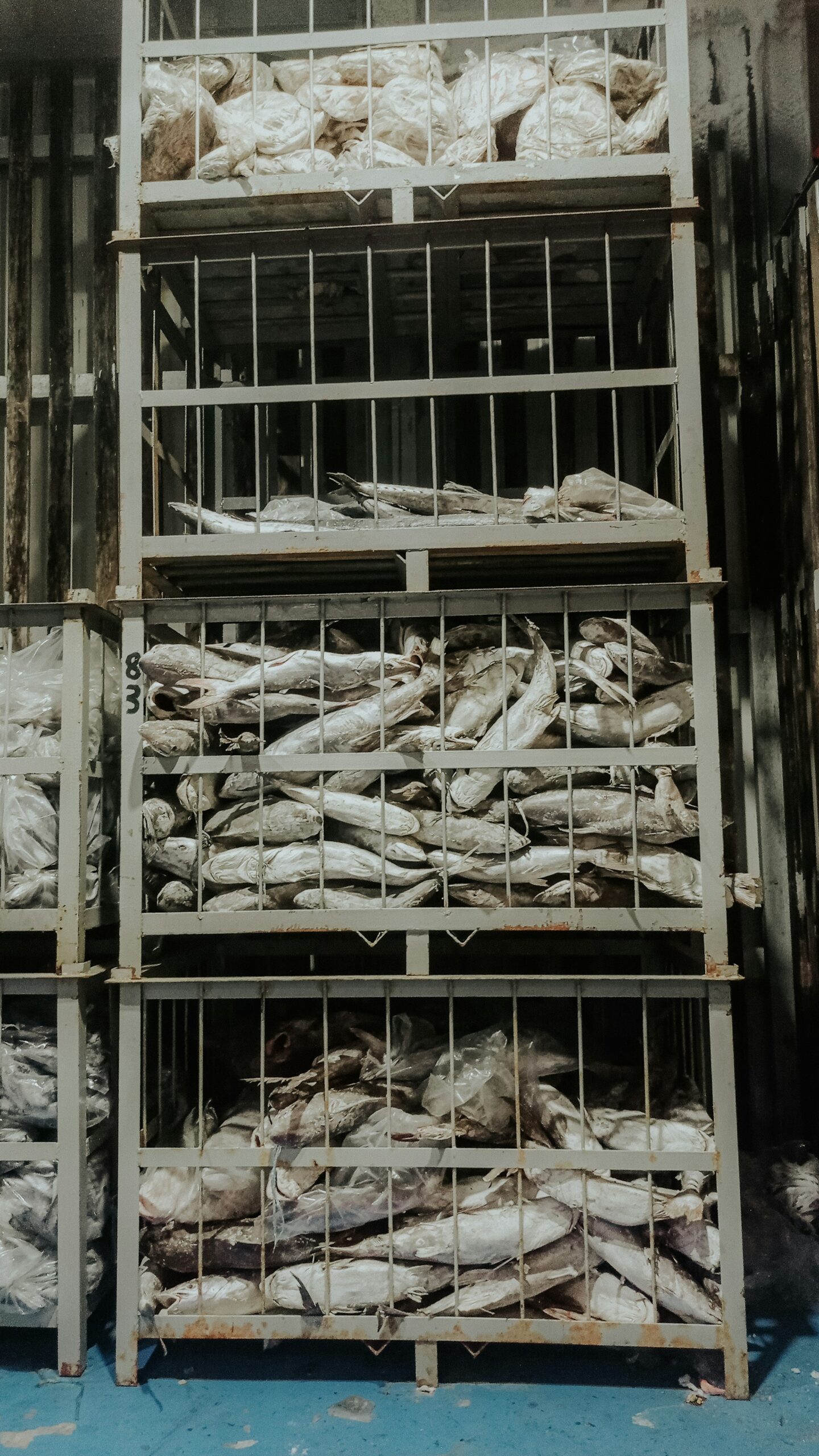 Gudang cold chain logistics menyimpan ikan beku di Batam, Indonesia